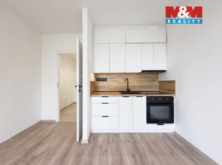 IMG_6710.jpg | Pronájem bytu, 1+kk, 30 m²