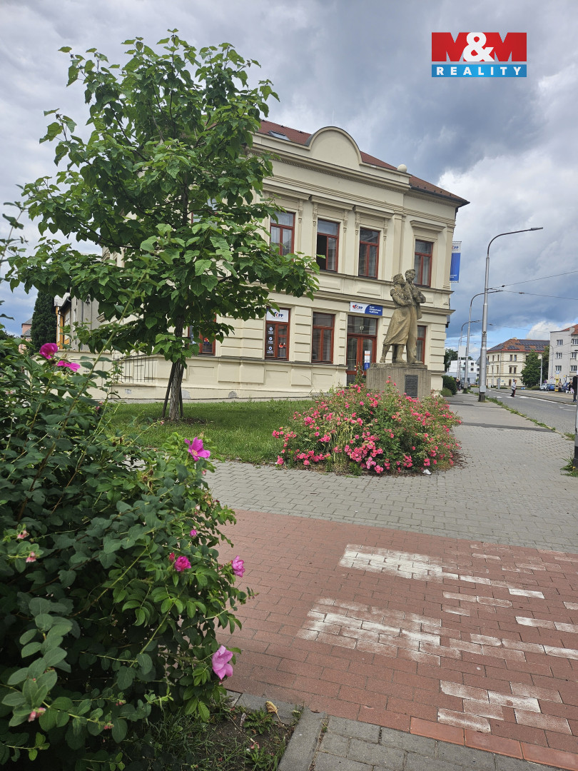 20260615_111520.jpg