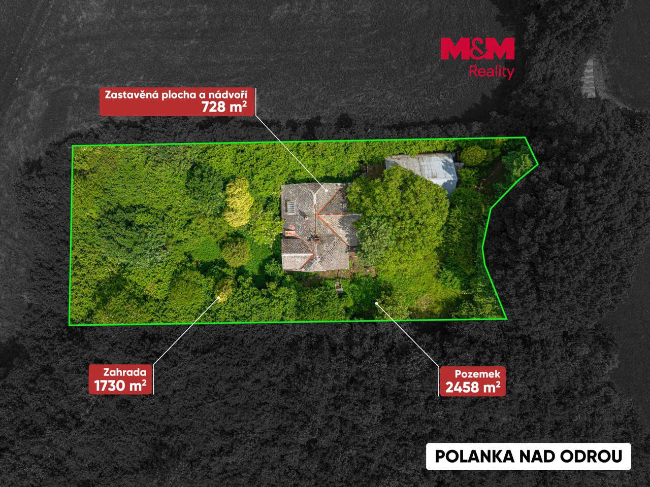 Polanka_Grafika (1) Velký.jpeg