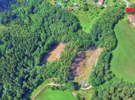 3.jpg | Prodej - pozemek, les, 32 996 m²