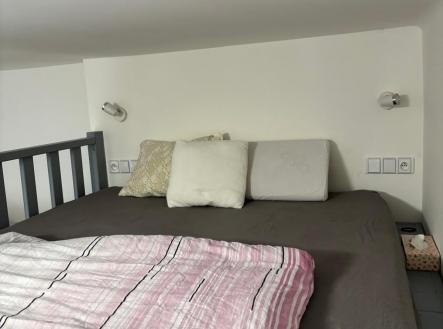 Pronájem bytu, 1+kk, 21 m²