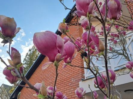 Prodej - dům/vila, 324 m²