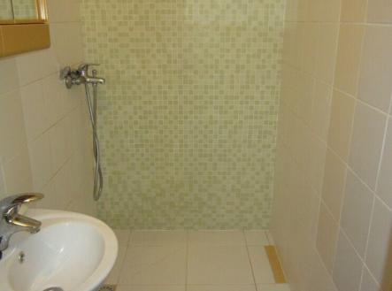 Pronájem bytu, 1+kk, 25 m²