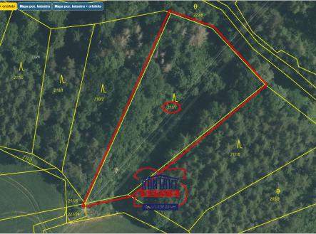 Přehledka zoom II.PNG | Prodej - pozemek, les, 3 661 m²
