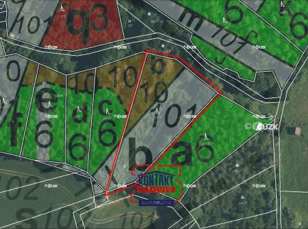 Prodej - pozemek, les, 3 661 m²