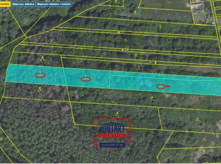 A přehledka.PNG | Prodej - pozemek, les, 56 775 m²