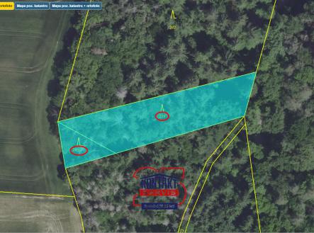 C přehledka.PNG | Prodej - pozemek, les, 56 775 m²