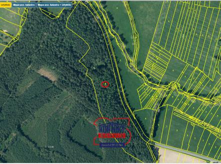 Přehledka zoom II | Prodej - pozemek, les, 32 304 m²