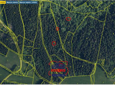 Přehledka zoom II | Prodej - pozemek, les, 48 805 m²