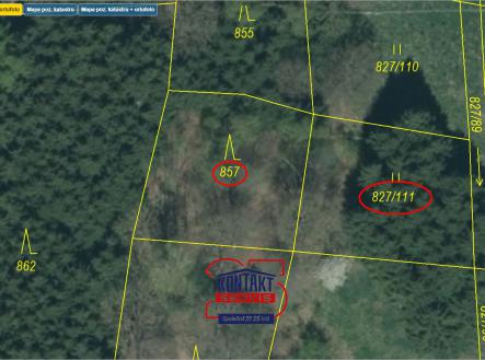 C Přehledka II | Prodej - pozemek, les, 8 771 m²