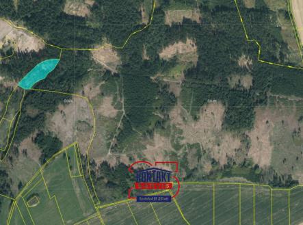 Prodej - pozemek, les, 8 771 m²