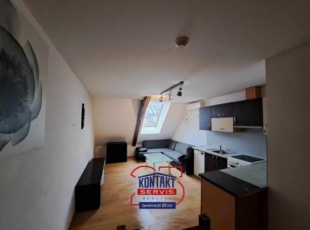 418738153_255167490946949_3908350700587706599_n | Pronájem bytu, 2+kk, 55 m²