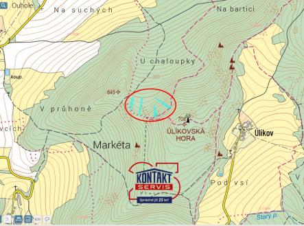 Přehledka | Prodej - pozemek, les, 7 418 m²