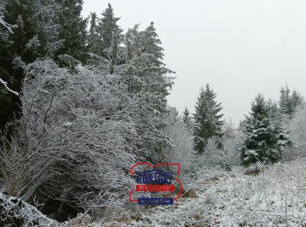 Prodej - pozemek, les, 35 113 m² obrázek