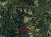 Prodej - pozemek, les, 25 593 m²