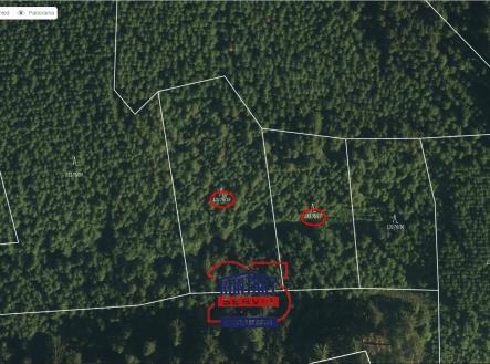 Hovězí - mapy.cz | Prodej - pozemek, les, 25 593 m²