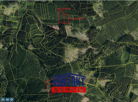 Prodej - pozemek, les, 25 593 m² obrázek