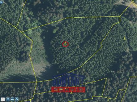 Prodej - pozemek, les, 25 593 m² obrázek