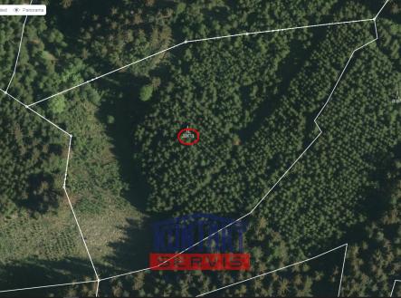 Huslenky - mapy.cz | Prodej - pozemek, les, 25 593 m²