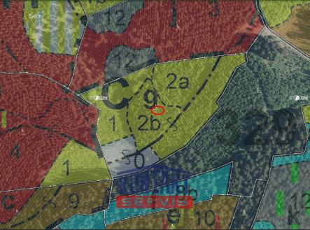 Huslenky - LHP | Prodej - pozemek, les, 25 593 m²