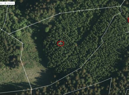 Huslenky - mapy.cz | Prodej - pozemek, les, 17 933 m²