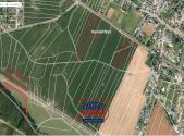 Prodej - pozemek, zemědělská půda, 19 793 m²