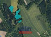 Prodej - pozemek, les, 30 767 m²