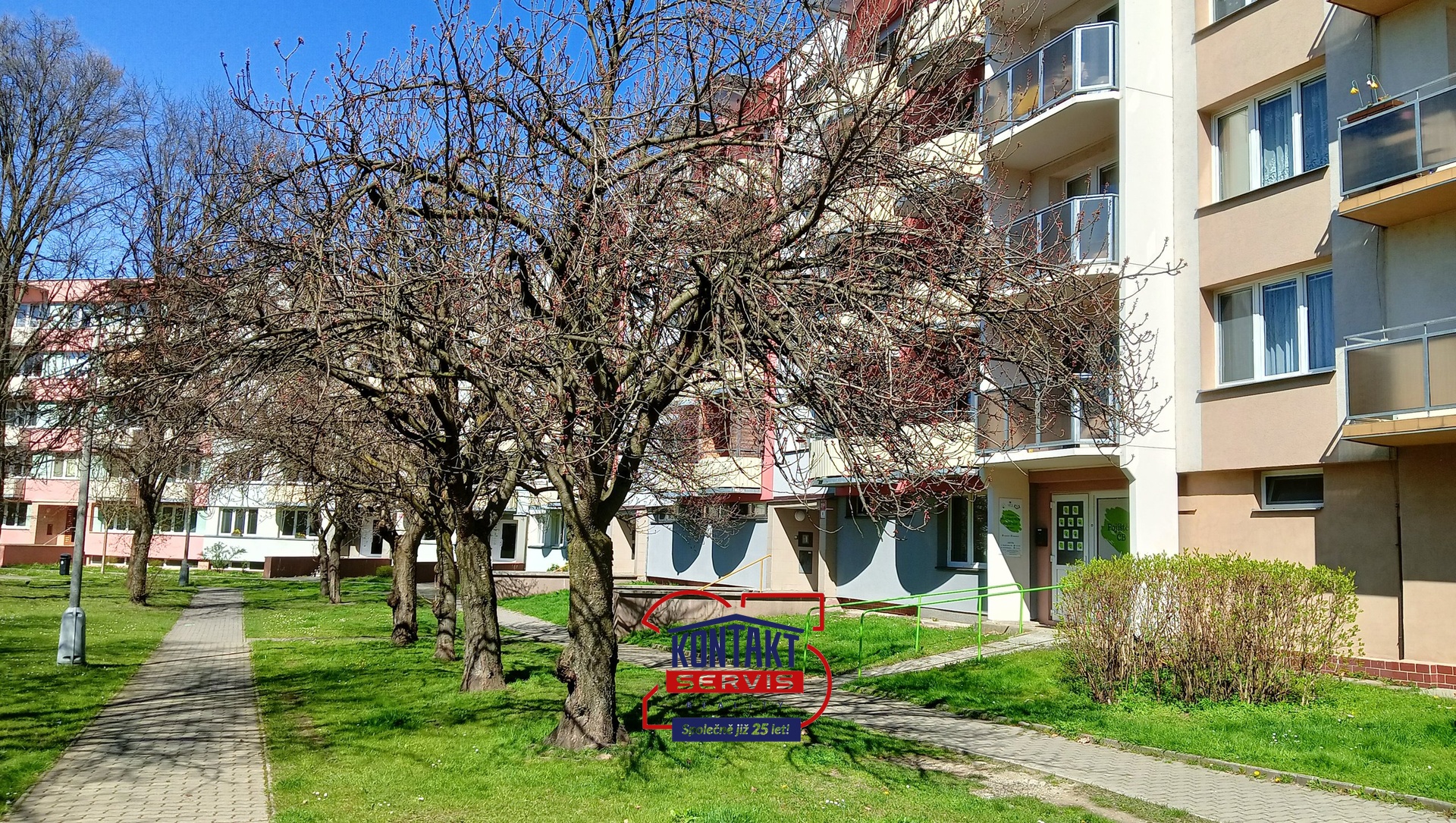 IMG20250404135158