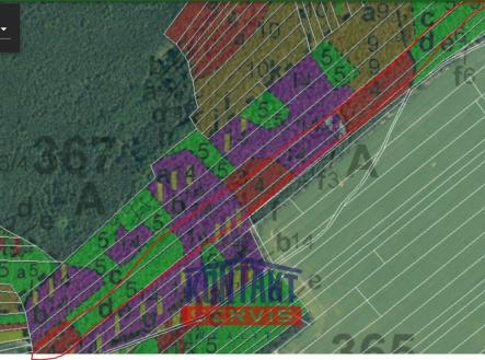 p.č. 1427    LHO | Prodej - pozemek, les, 14 637 m²