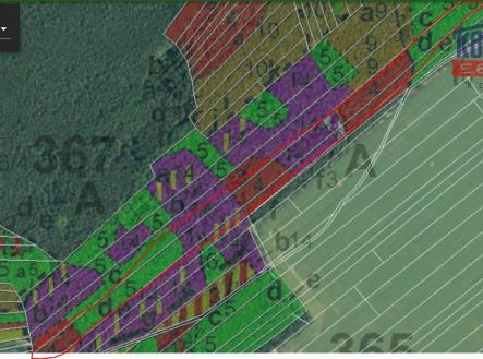 p.č. 1427    LHO | Prodej - pozemek, les, 14 637 m²