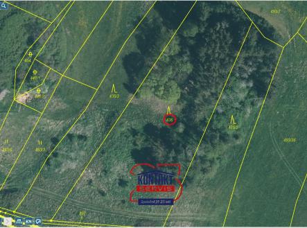 Přehledka zoom II | Prodej - pozemek, les, 4 885 m²
