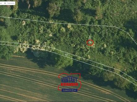 mapy.cz A | Prodej - pozemek, les, 5 589 m²