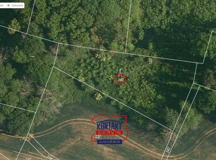 mapy.cz B | Prodej - pozemek, les, 5 589 m²