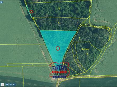 střed Přehledka | Prodej - pozemek, les, 18 003 m²