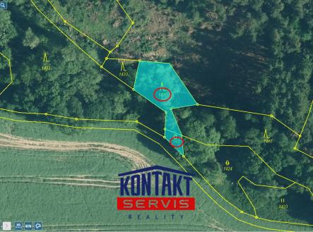 sever Přehledka | Prodej - pozemek, les, 13 114 m²