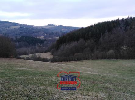 Prodej - pozemek, les, 13 657 m² obrázek