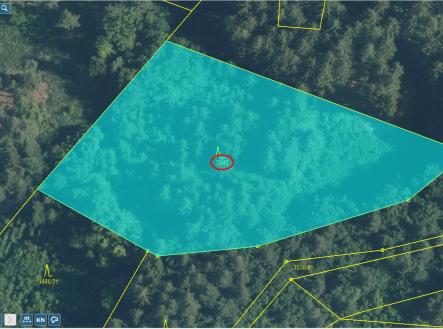 Přehledka zoom | Prodej - pozemek, les, 27 178 m²