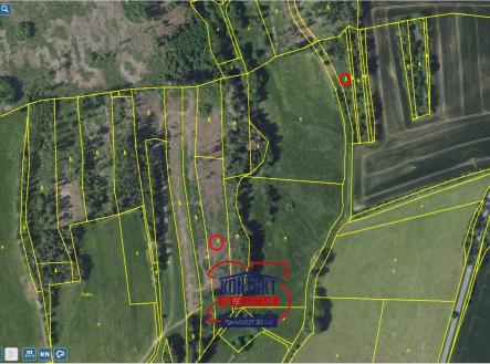 sever Přehledka II | Prodej - pozemek, les, 38 239 m²