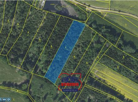 KN 1166,10 | Prodej - pozemek, les, 10 542 m²