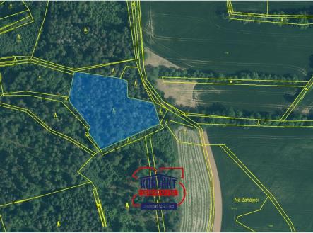 KN 1141 | Prodej - pozemek, les, 27 324 m²