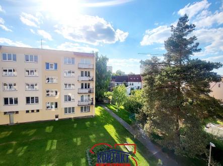 20250512_173053 | Pronájem bytu, 1+1, 38 m²