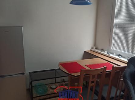IMG-20250505-WA0009 | Pronájem bytu, 1+1, 38 m²