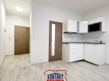 20250604_184143 | Pronájem bytu, 1+kk, 24 m²