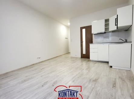 20250604_184121 | Pronájem bytu, 1+kk, 24 m²
