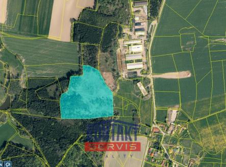 Detail II | Prodej - pozemek, les, 40 017 m²