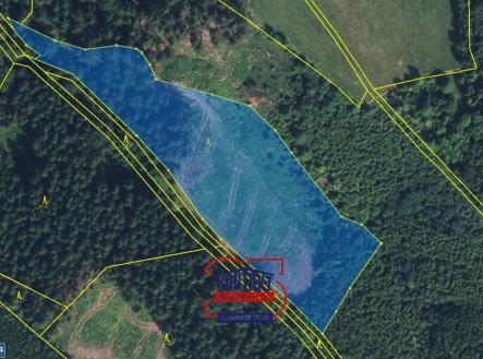 KN 545 | Prodej - pozemek, les, 10 149 m²