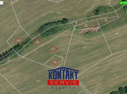 Mapa | Prodej - pozemek, les, 6 556 m²
