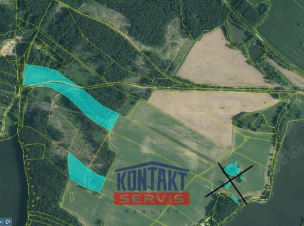 Prodej - pozemek, les, 43 683 m² obrázek
