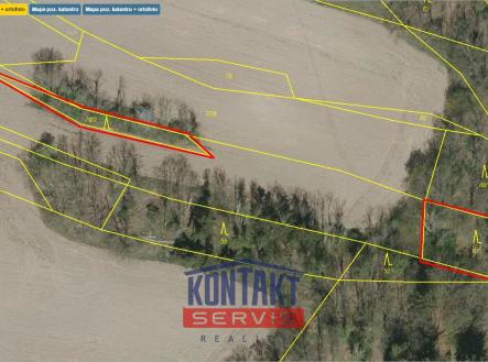 Přehledka F II | Prodej - pozemek, les, 43 683 m²