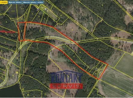 Přehledka A II | Prodej - pozemek, les, 43 683 m²